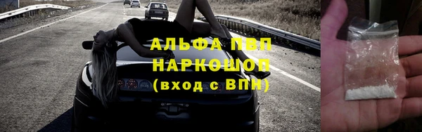гашик Белокуриха