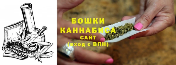 гашик Белокуриха