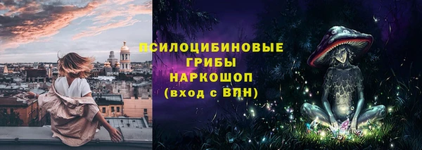гашик Белокуриха